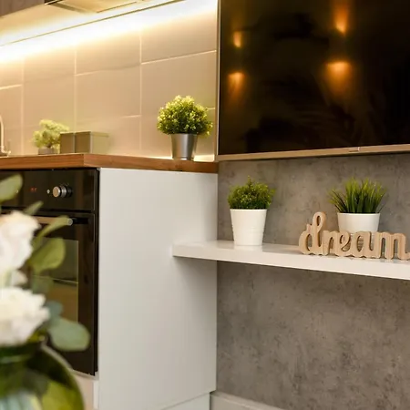 Cismigiu - Urban Comfort With A Stylish Touch דירה בוקרשט